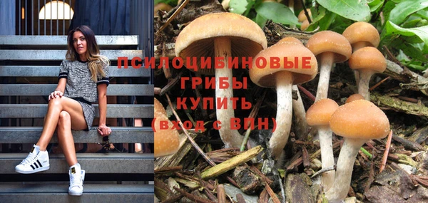 амф Алексин