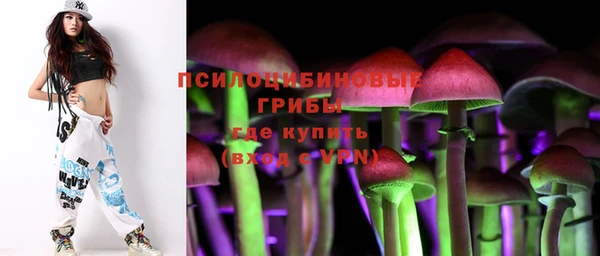амф Алексин