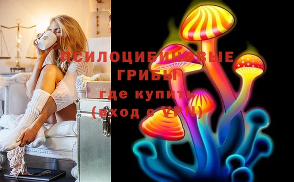 круглые Алзамай